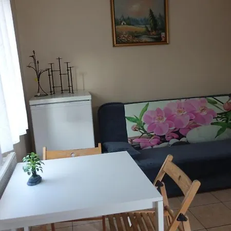Pokoje Goscinne Lesny Zakatek Kepiaste Exterior foto